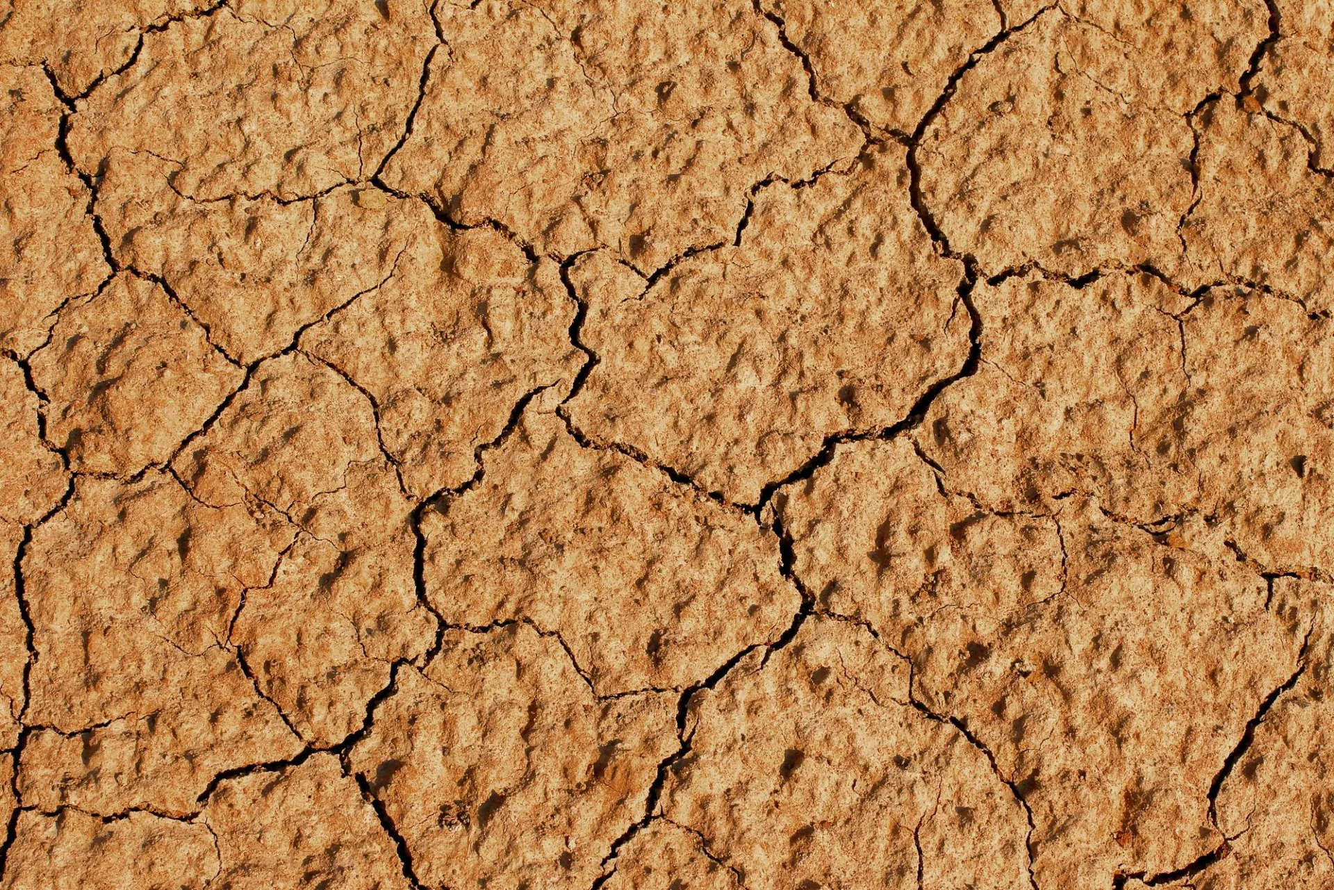 Fissures et retrait-gonflement des argiles en PACA